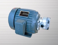 Gear pump motor combination