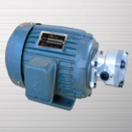 Gear pump motor combination