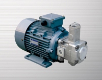 Variable vane pump motor combination