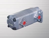 PAA series dual gear pump