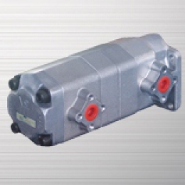 PAA series dual gear pump