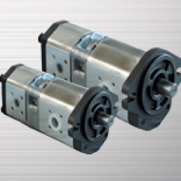 GPH series dual gear pump