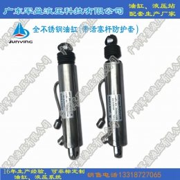 With piston rod protective sleeve