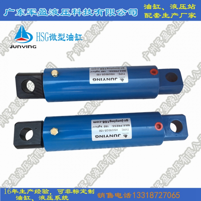 Customized micro single acting oil cylinder